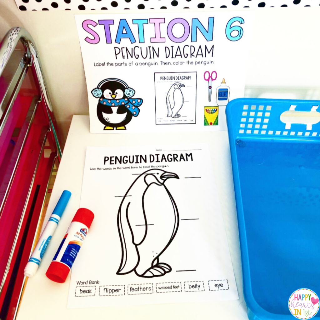 Penguin station activity- label the diagram