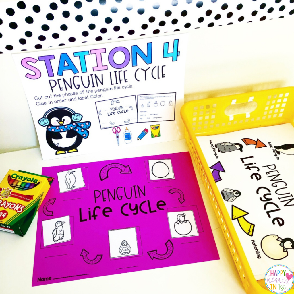 Penguin station activity life cycle