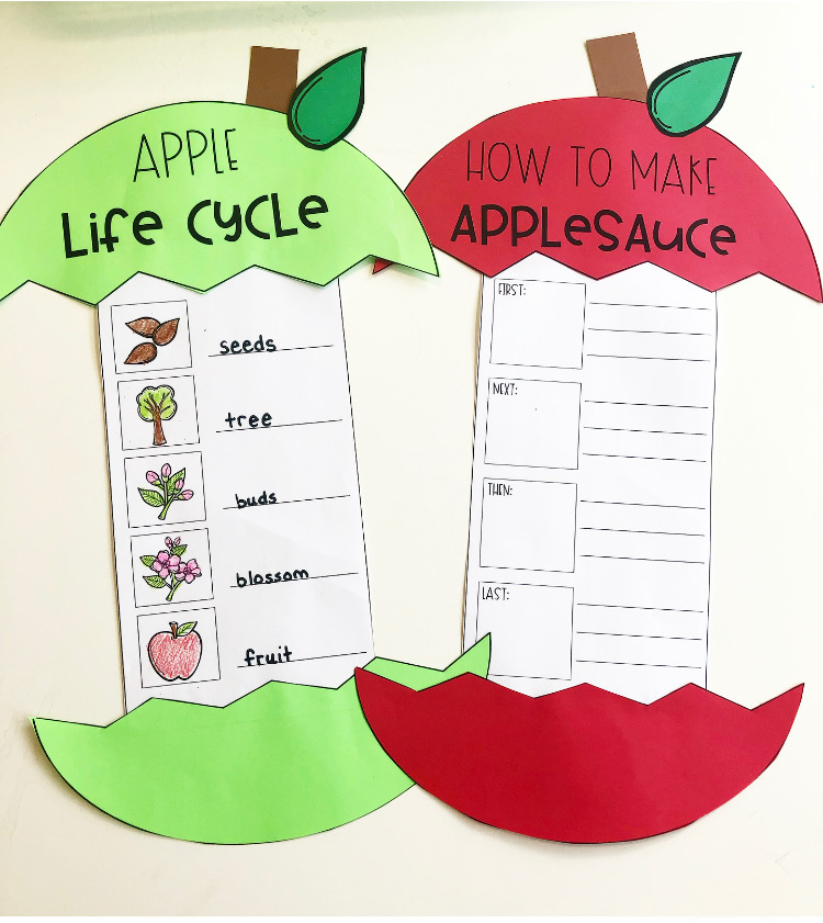 Apple Craft for first grade classroom How to Make Applesauce writing and Apple Life Cycle