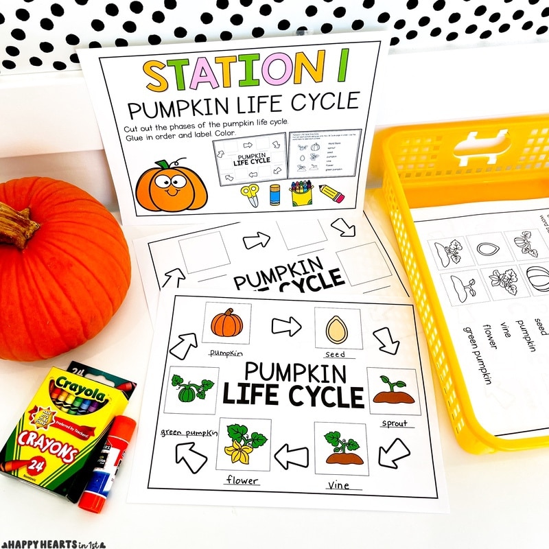 Pumpkin activities 1st grade pumpkin life cycle