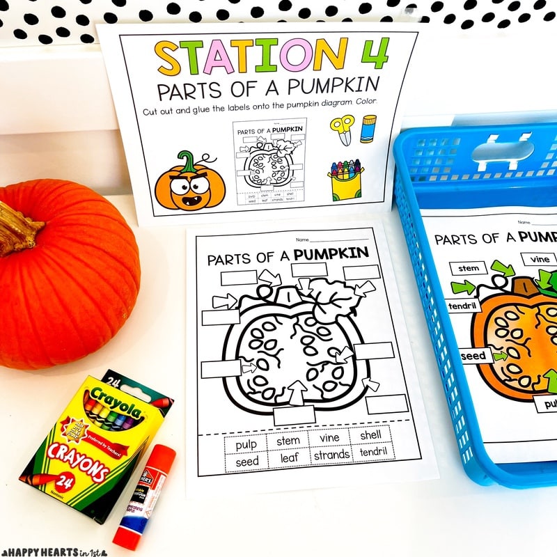 Pumpkin activities 1st grade Pumpkin Diagram Parts of a Pumpkin